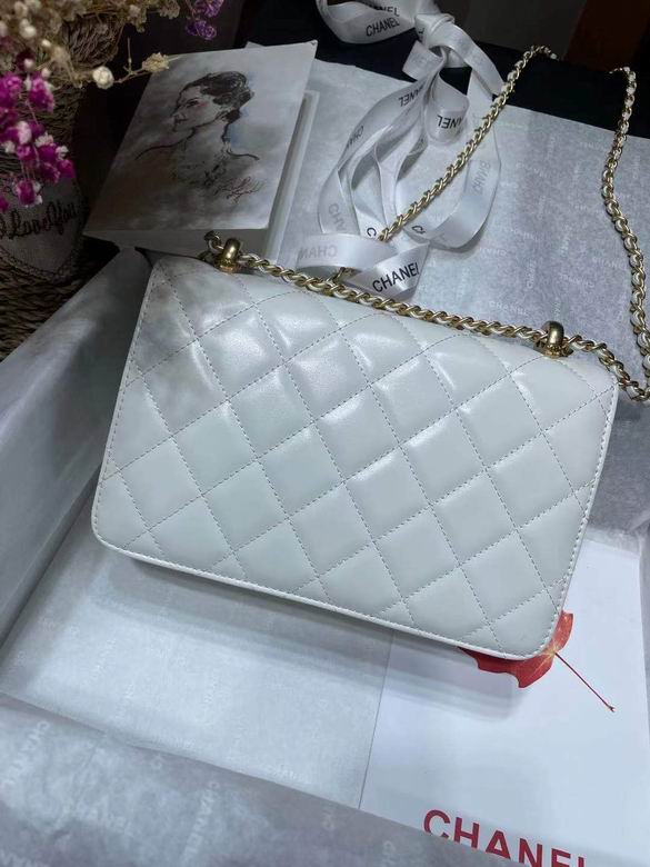 AS2649 14.5X22X8cm BL 2colour (11)